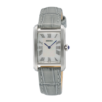 Montre Seiko Femme Classique in Acier SWR099P1